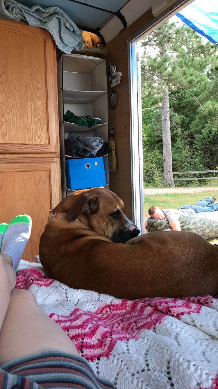 Nikki M.'s photo of camping with pets at Munising Tourist Park Campground near Pictured Rocks National Park
