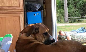 Nikki M.'s photo of camping with pets at Munising Tourist Park Campground near Grand Marais, MI