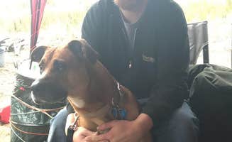 Nikki M.'s photo of camping with pets at Munising Tourist Park Campground near Pictured Rocks National Lakeshore
