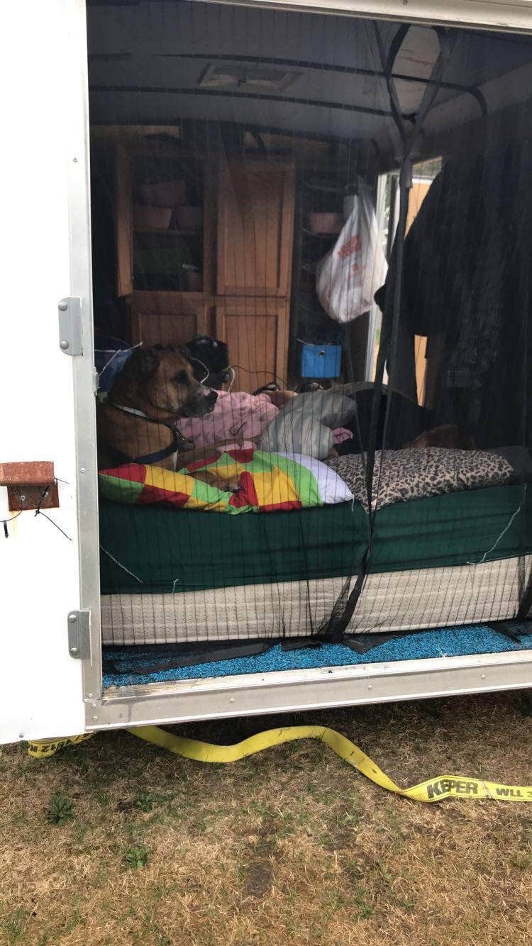 Nikki M.'s photo of glamping accommodations at Aloha State Park Campground near Carp Lake, MI