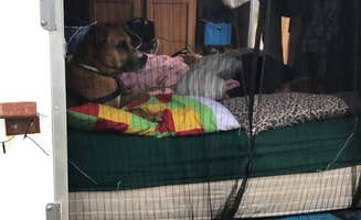 Nikki M.'s photo of glamping accommodations at Aloha State Park Campground near Millersburg, MI