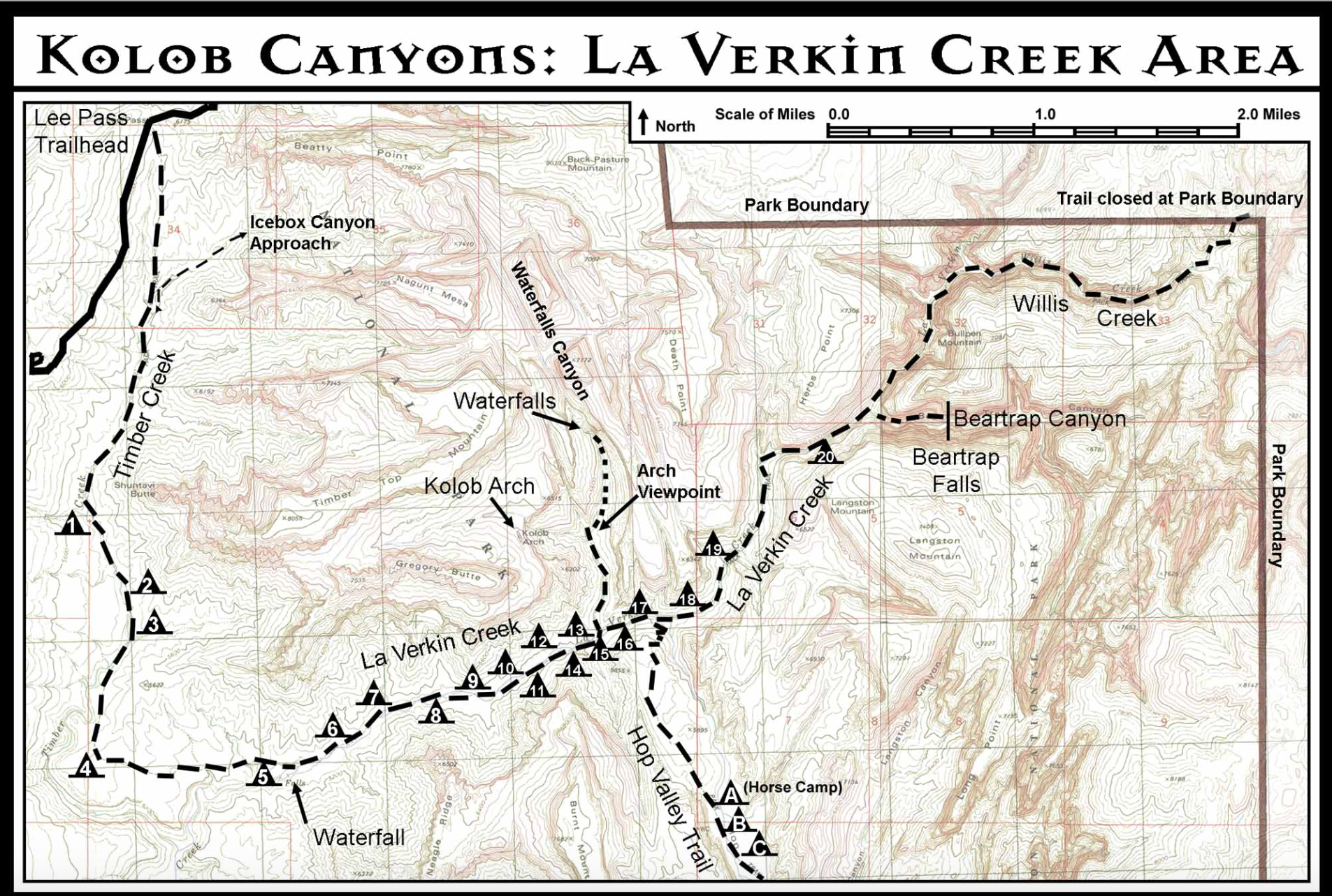 Camper submitted image from La Verkin Creek Trail Campsites — Zion National Park - 4
