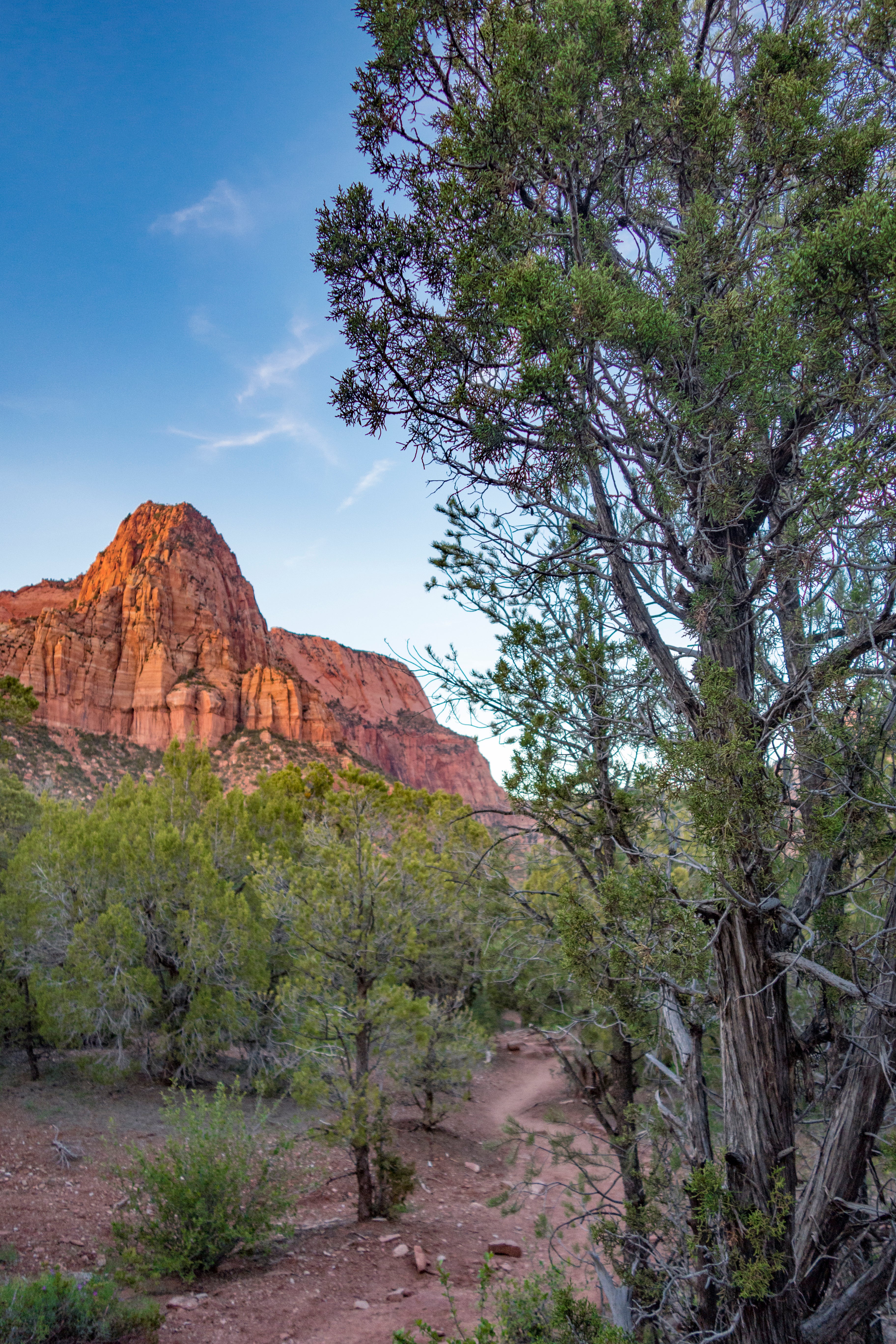 Camper submitted image from La Verkin Creek Trail Campsites — Zion National Park - 2