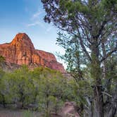 Review photo of La Verkin Creek Trail Campsites — Zion National Park by Billy B., August 30, 2016