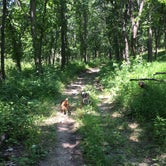 Review photo of Indian Cave State Park Campground by Jeanne S., May 19, 2019