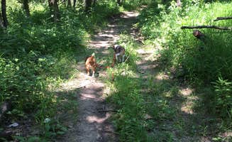 Jeanne S.'s photo of camping with pets at Ash Grove Campground — Indian Cave State Park near Nebraska City, NE
