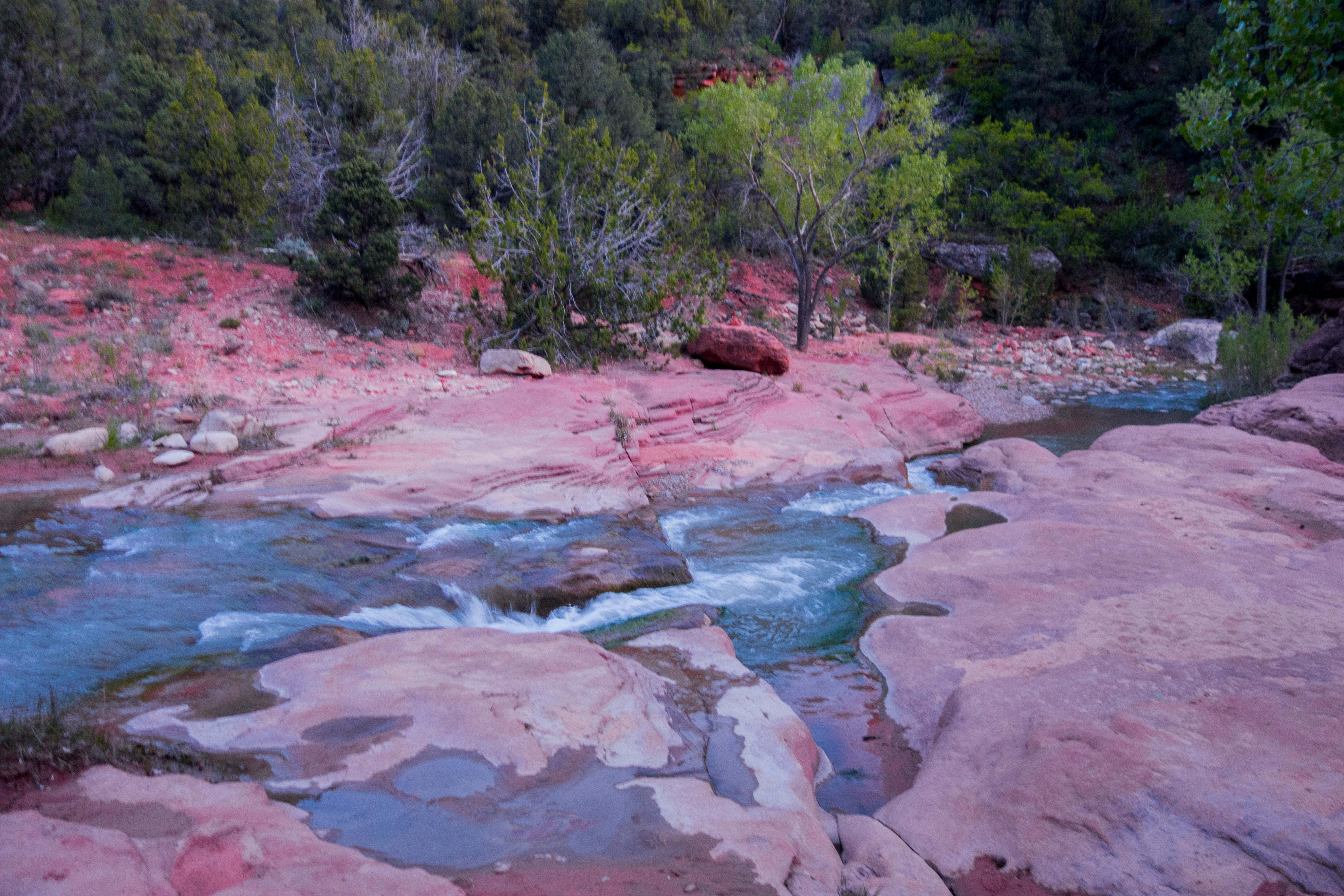 Camper submitted image from La Verkin Creek Trail Campsites — Zion National Park - 1
