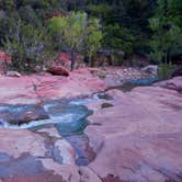 Review photo of La Verkin Creek Trail Campsites — Zion National Park by Billy B., August 30, 2016