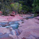 Review photo of La Verkin Creek Trail Campsites — Zion National Park by Billy B., August 30, 2016
