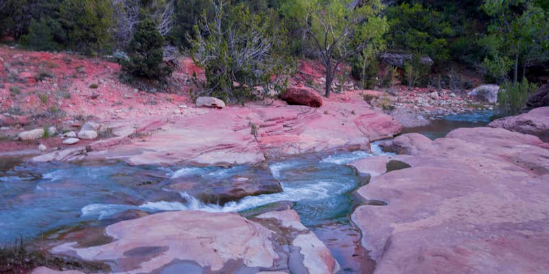 Camper submitted image from La Verkin Creek Trail Campsites — Zion National Park