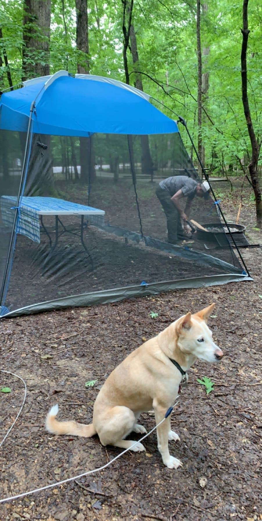 Sierra K.'s photo at Old Stone Fort State Archaeological Park near Fosterville, TN