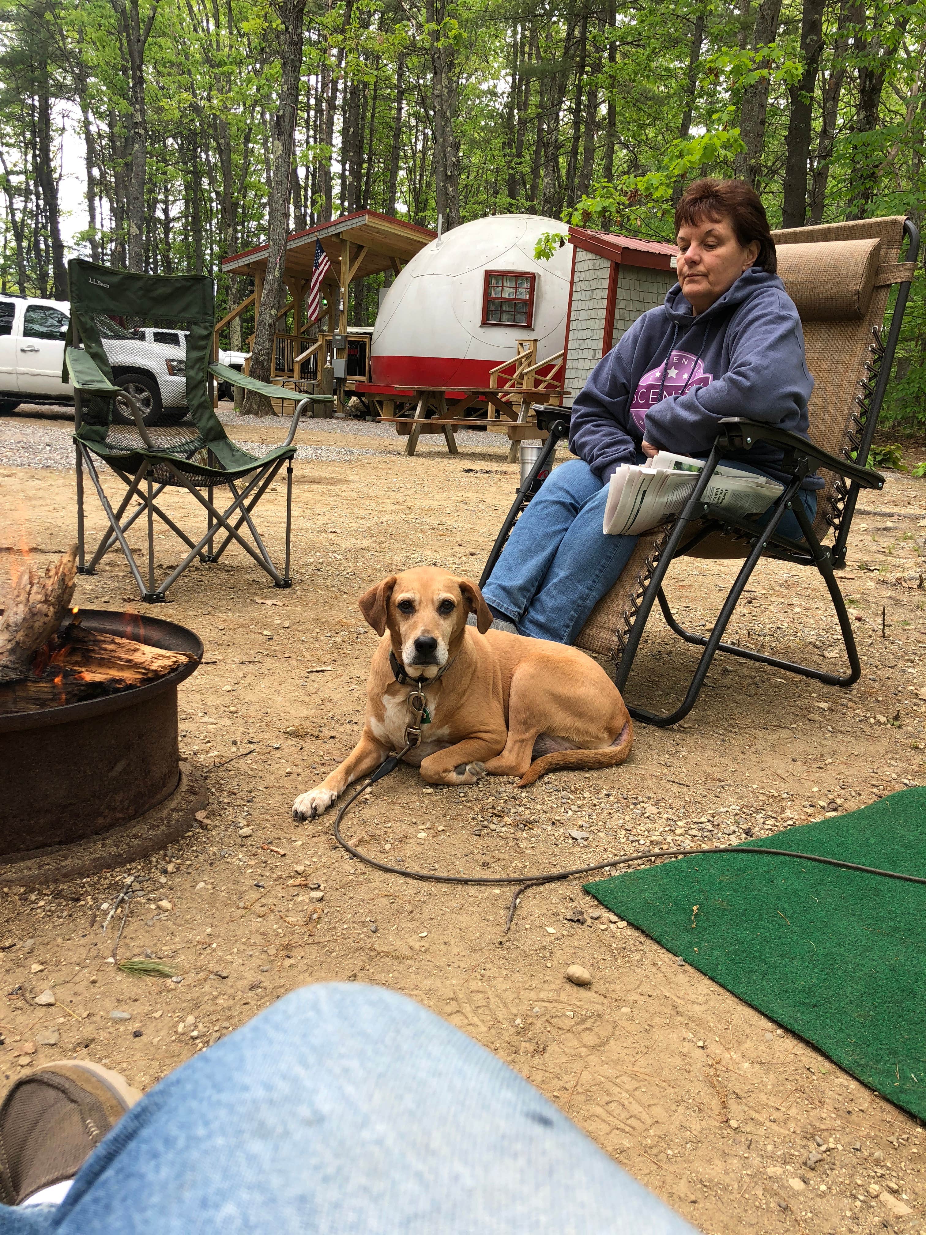 Mike T.'s photo of camping with pets at Freeport / Durham KOA near Portland, ME