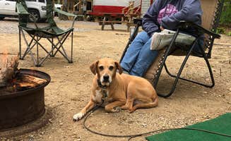 Mike T.'s photo at Freeport / Durham KOA near Lewiston, ME