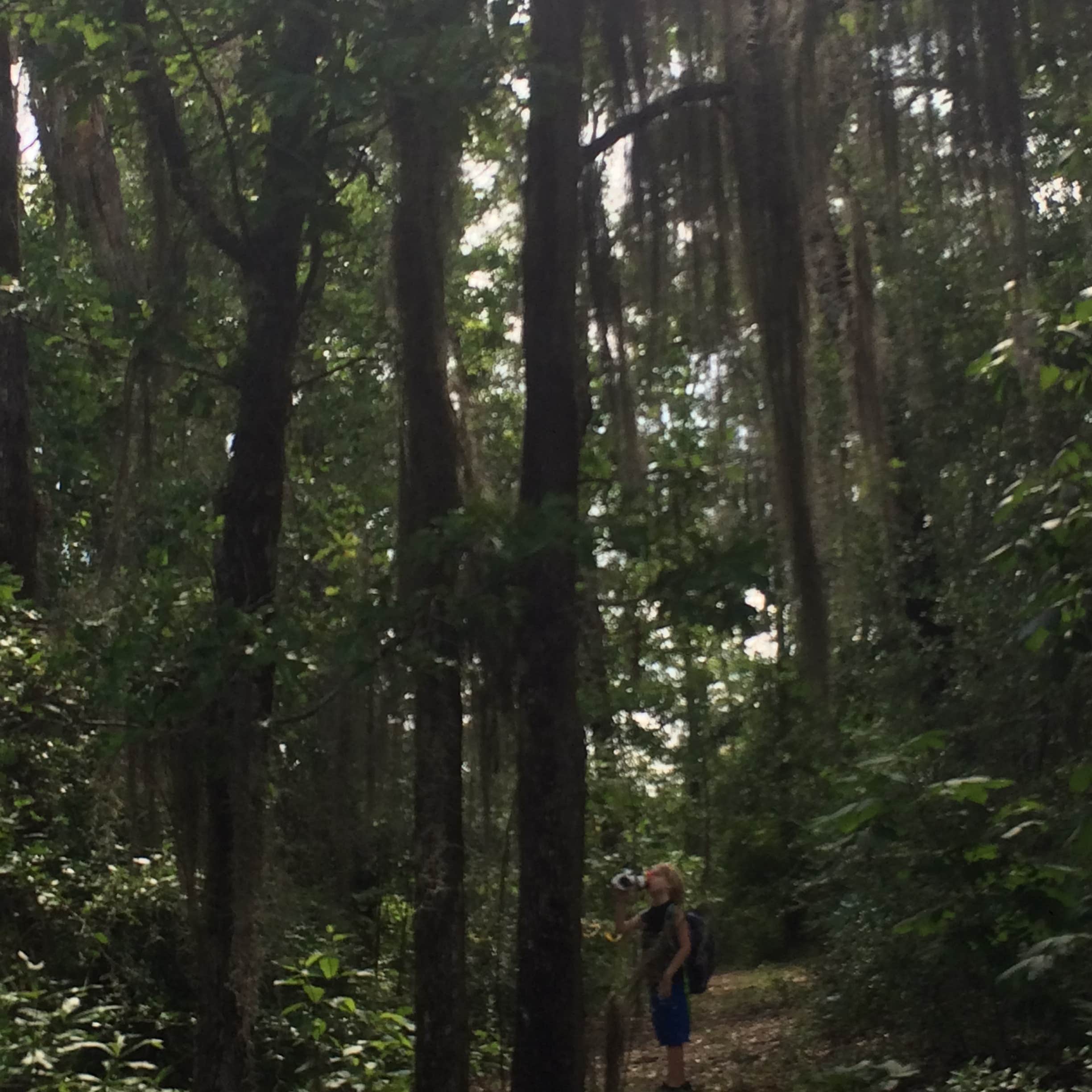 Little Black Creek Waterpark The Dyrt