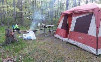 Danielle S.'s photo at Lakeside State Park Campground near Churchville, NY