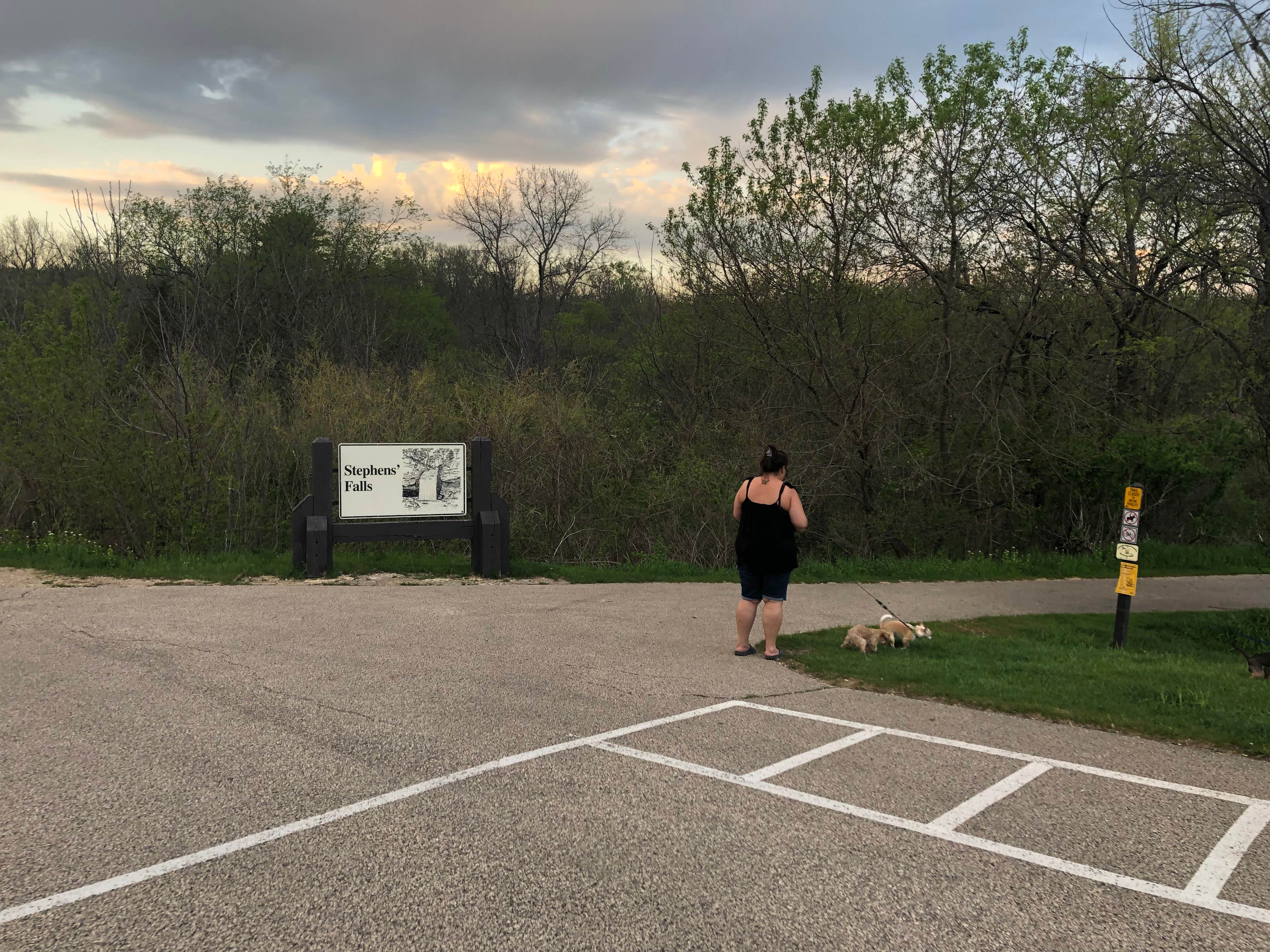 Siobhan R.'s photo of camping with pets at Cox Hollow Campground — Governor Dodge State Park near Mazomanie, WI