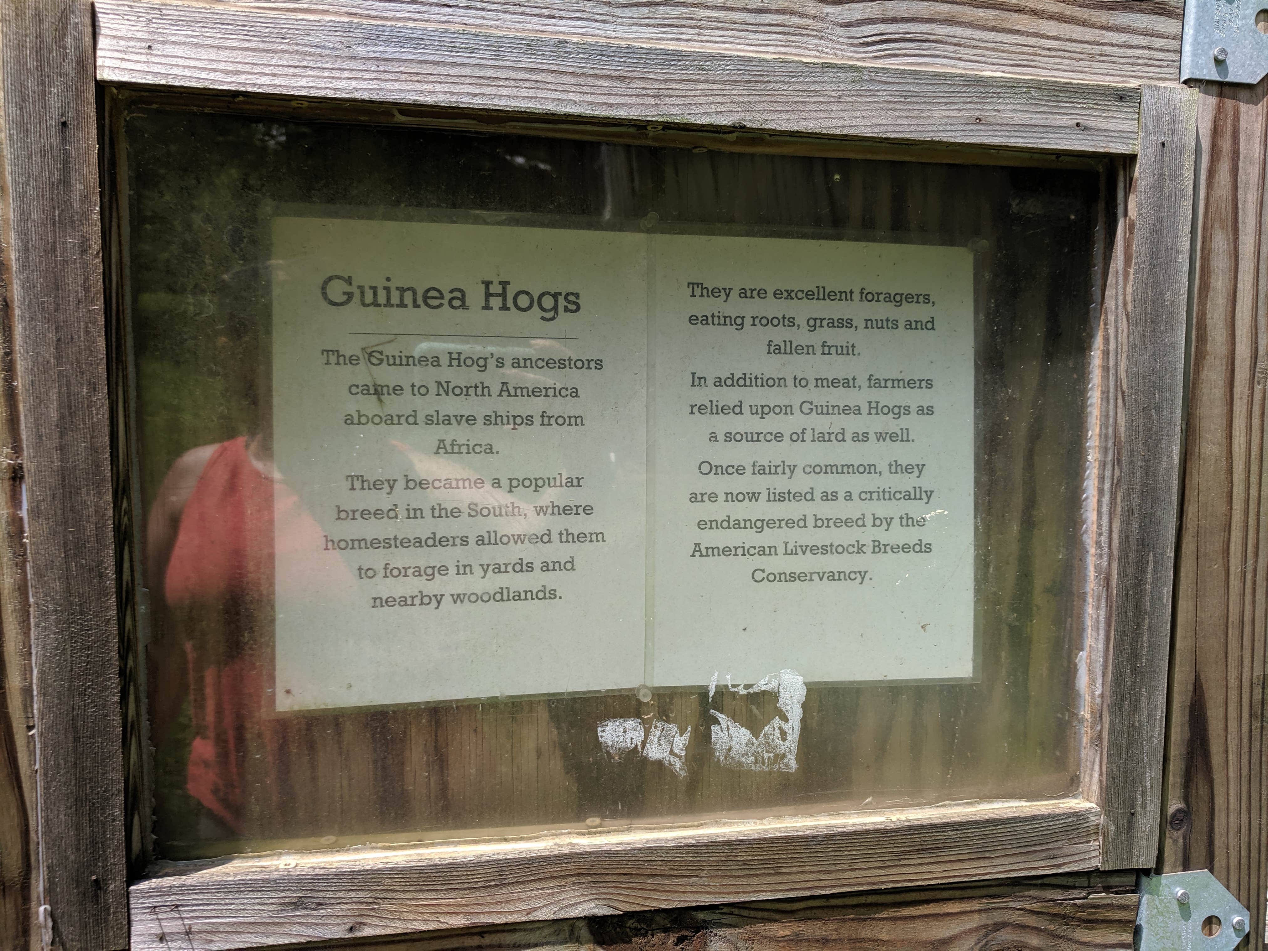 Camper-submitted photo at Button Farm near Great Falls, VA