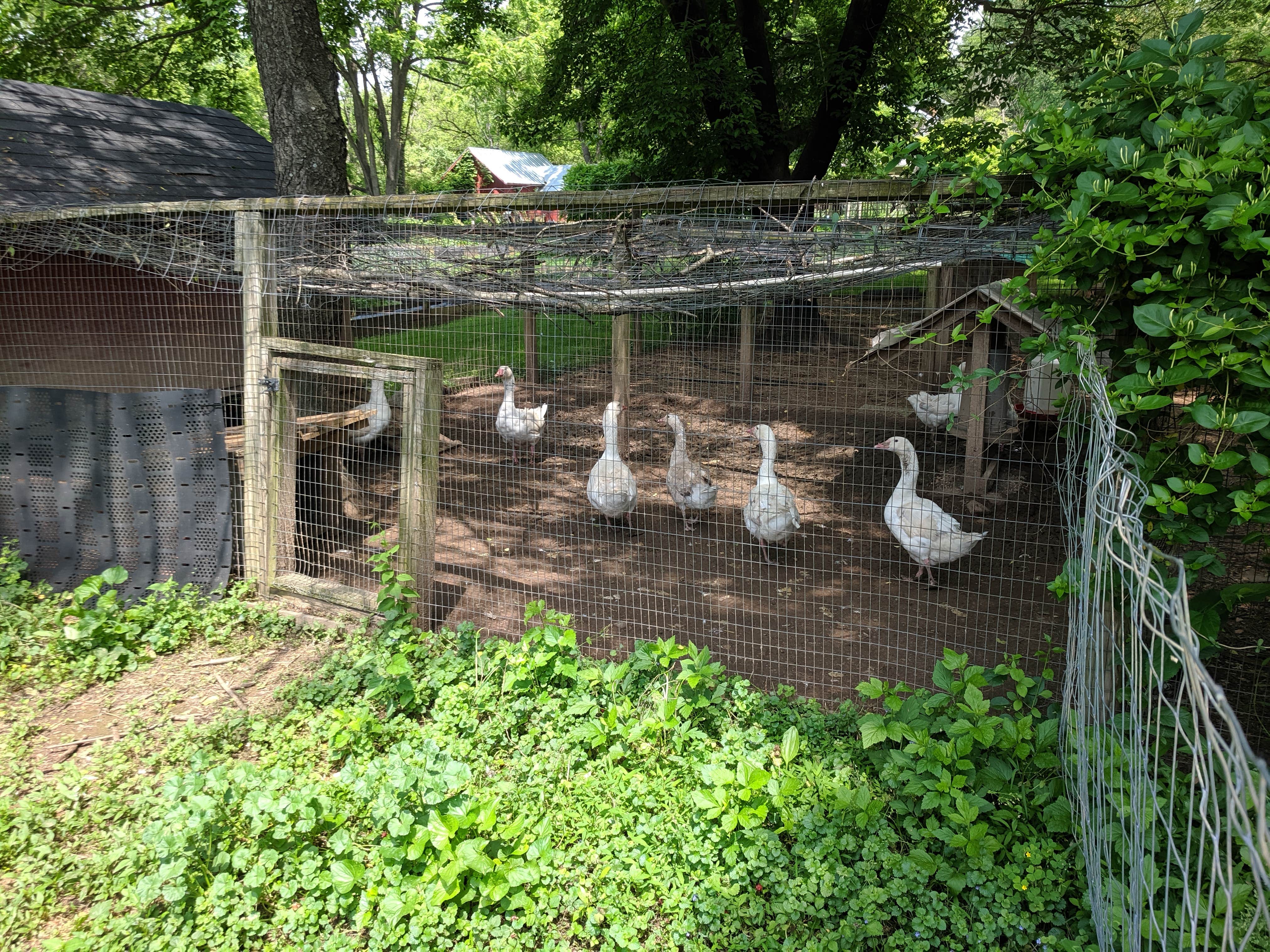 Camper-submitted photo at Button Farm near Great Falls, VA