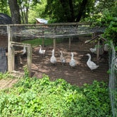 Review photo of Button Farm by Phinon W., May 19, 2019
