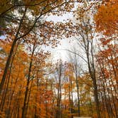 Review photo of Hancock Campground by Corrie G., May 19, 2019