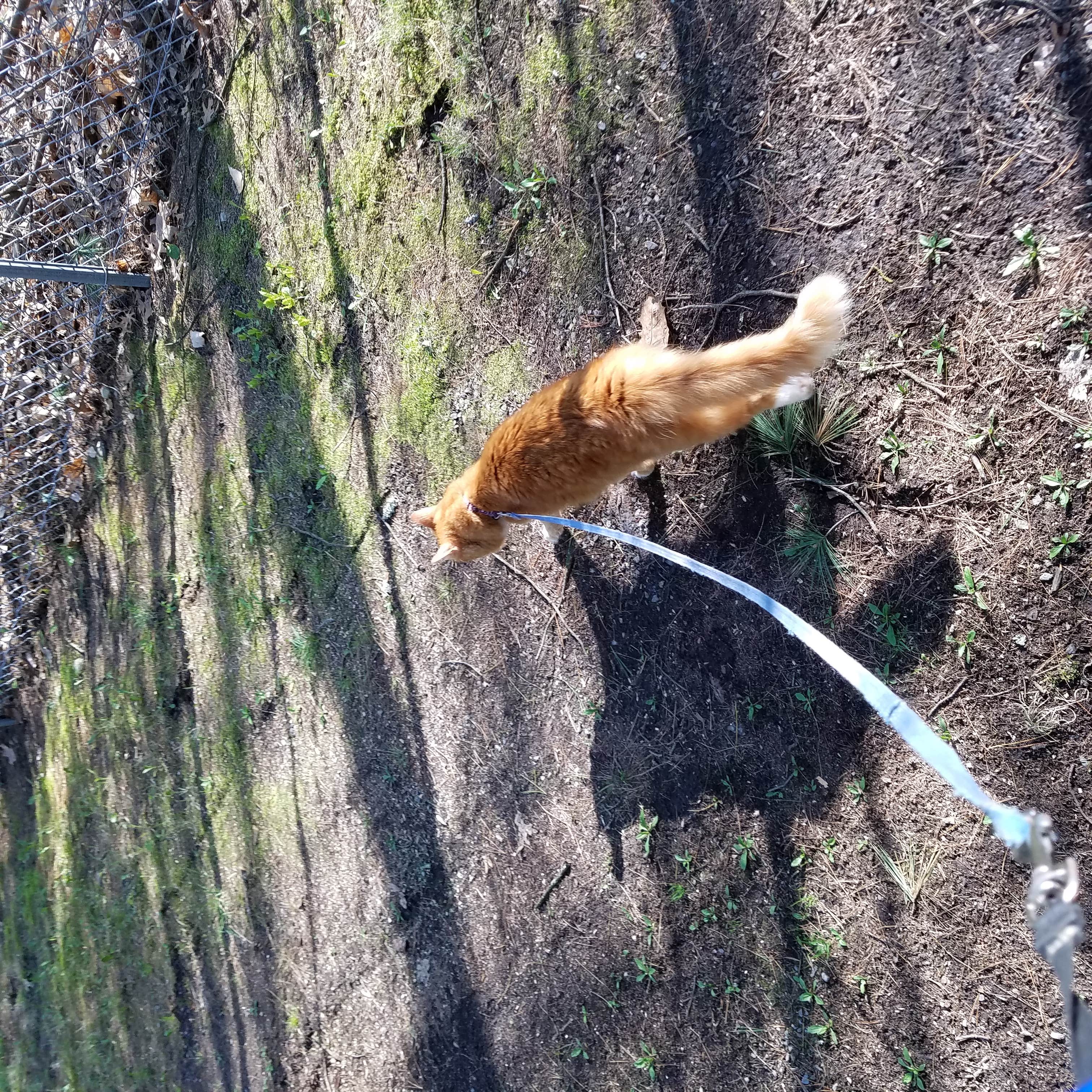 Camper-submitted photo at Lake George Campsites near South Glens Falls, NY