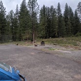 Review photo of Annie Creek Sno-Park by Stefanie W., May 19, 2019