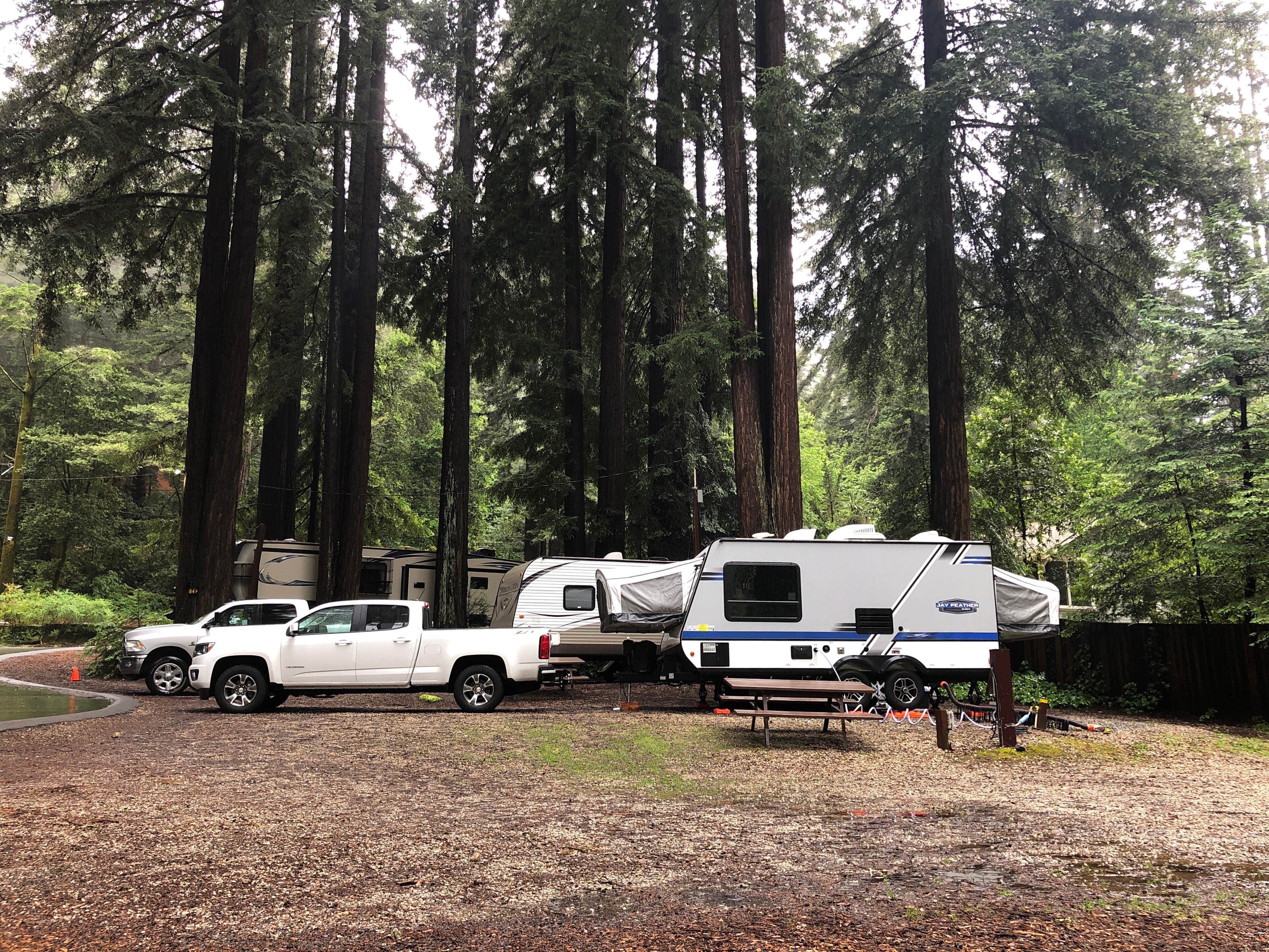 Corrie G.'s photo of rv camping at Santa Cruz Redwoods RV Resort near San Lorenzo, CA