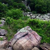 Review photo of Northern Lights - Devils Lake State Park by Siobhan R., May 19, 2019