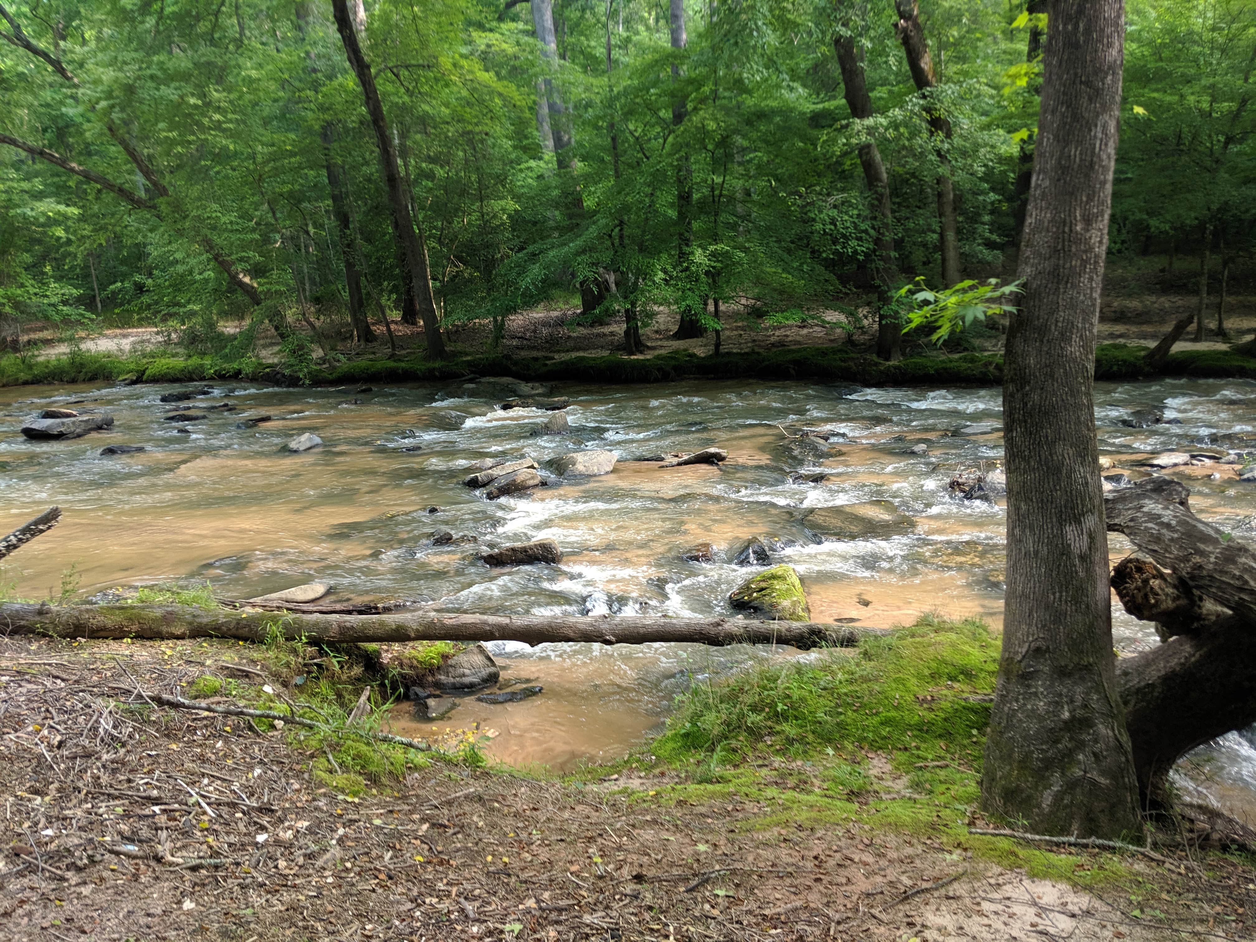 Camper-submitted photo at Croft State Park Campground near Inman, SC