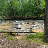 Review photo of Croft State Park Campground by Rachel R., May 19, 2019