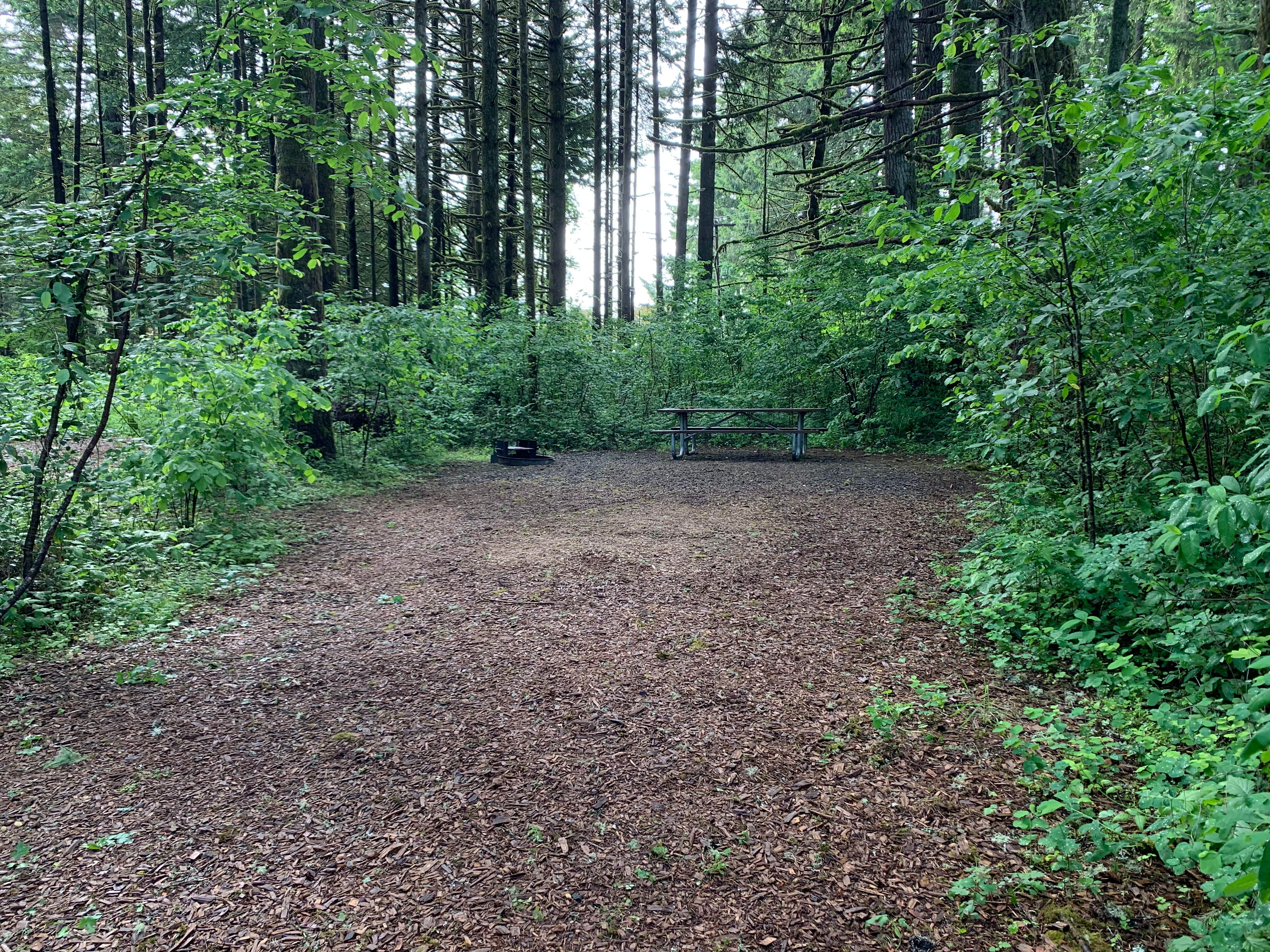 Camper-submitted photo at Richardson Park & Campground - A Lane County Park near Eugene, OR