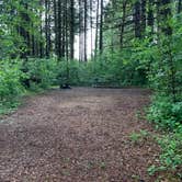 Review photo of Richardson Park & Campground - A Lane County Park by Hannah M., May 19, 2019