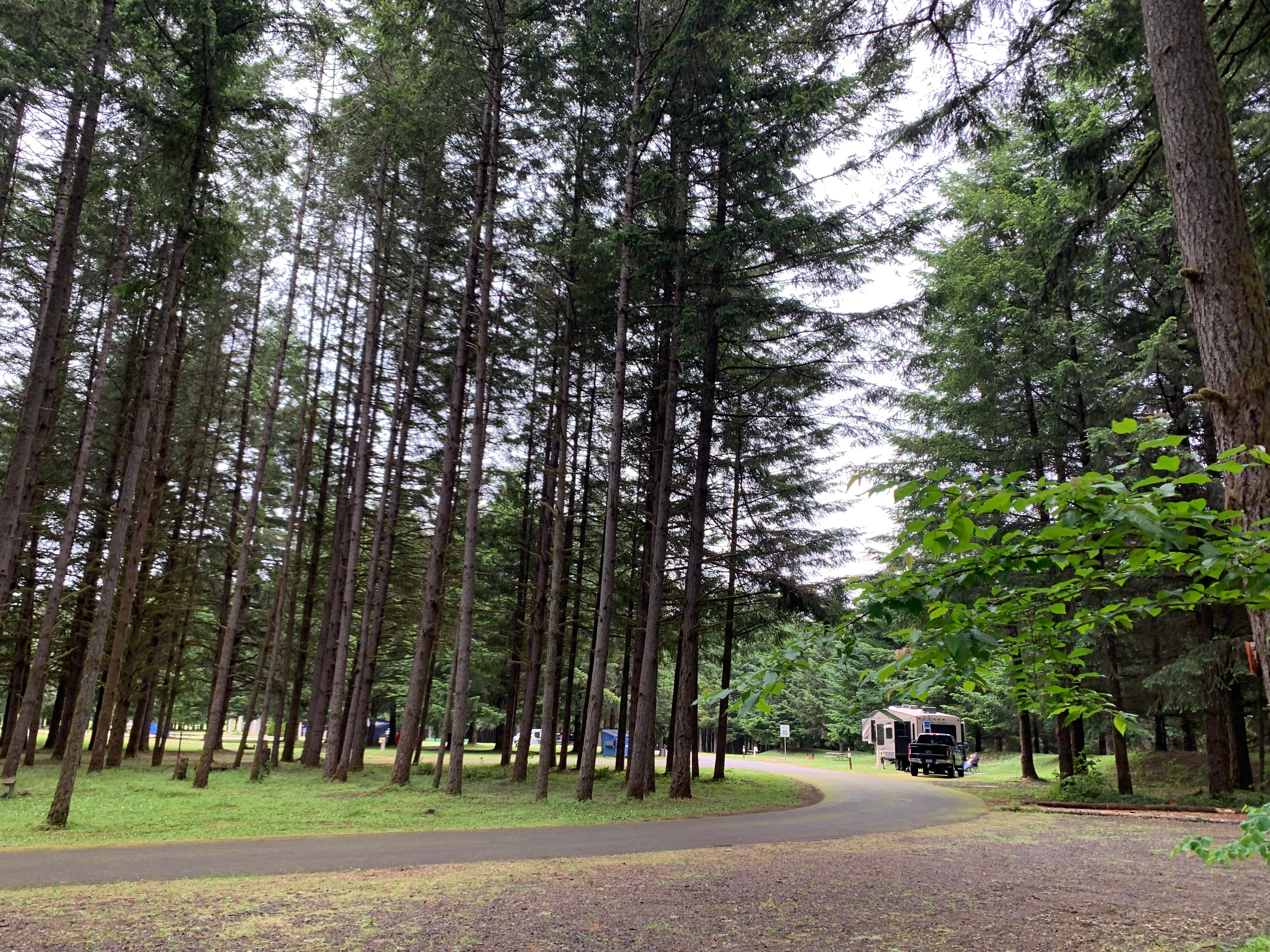Camper-submitted photo at Richardson Park & Campground - A Lane County Park near Eugene, OR