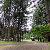 Review photo of Richardson Park & Campground - A Lane County Park by Hannah M., May 19, 2019