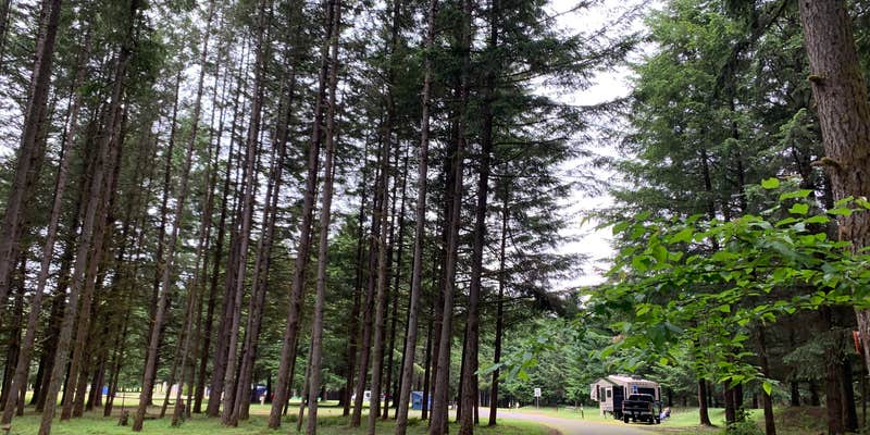 Camper submitted image from Richardson Park & Campground - A Lane County Park