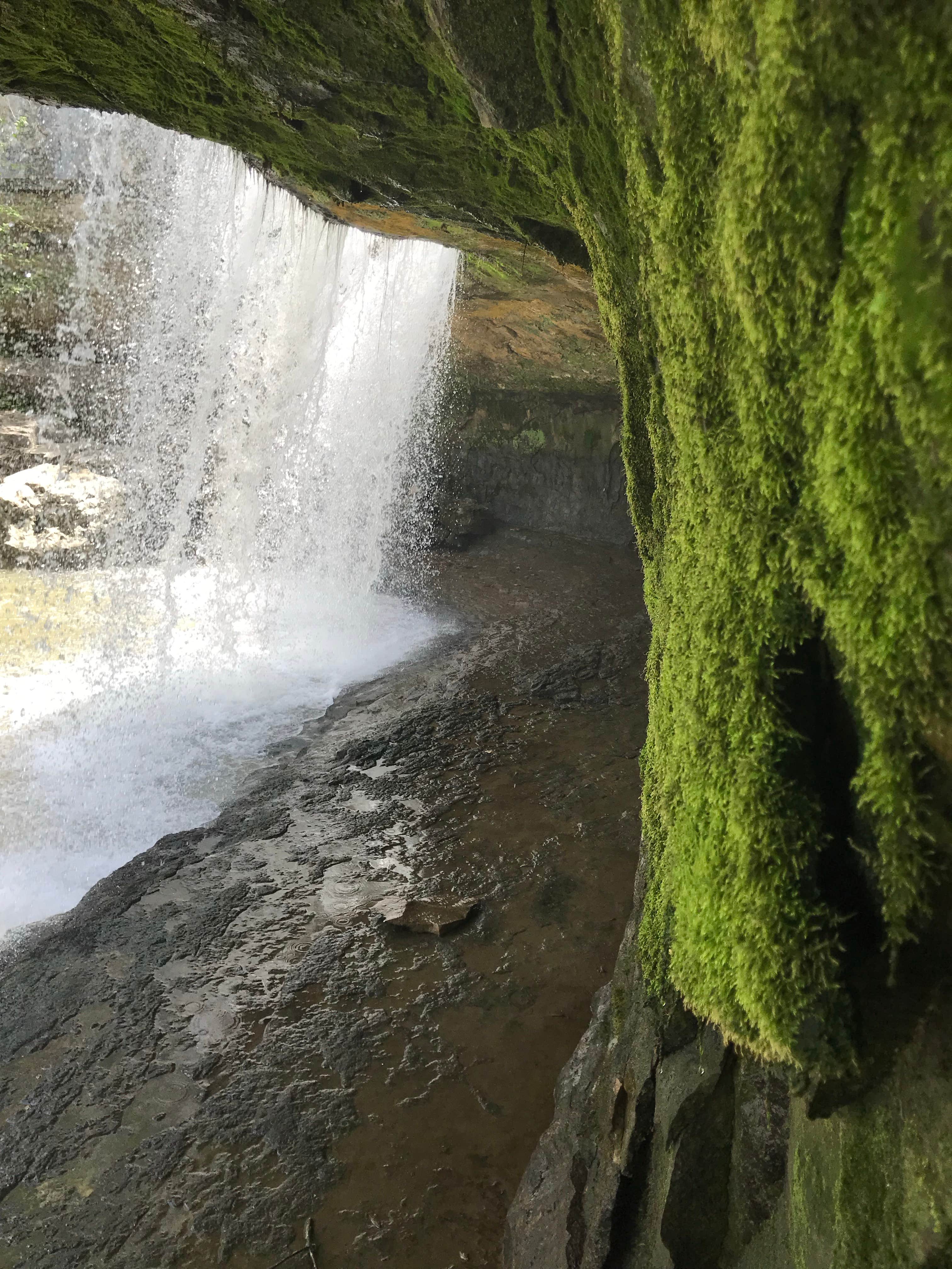 Camper-submitted photo at Lieber State Recreation Area Campground near Cecil M. Harden Lake