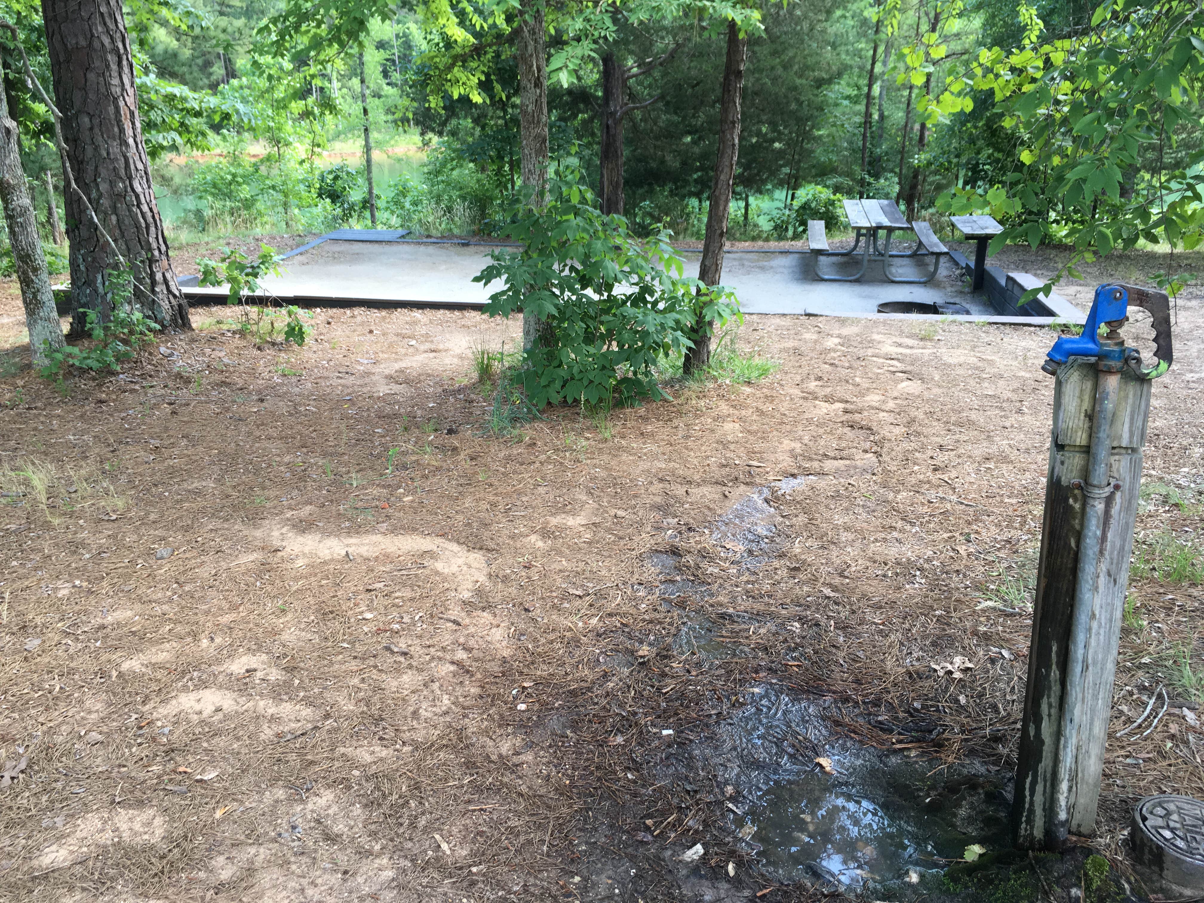 Camper-submitted photo at Calhoun Falls State Park Campground near Lincolnton, GA