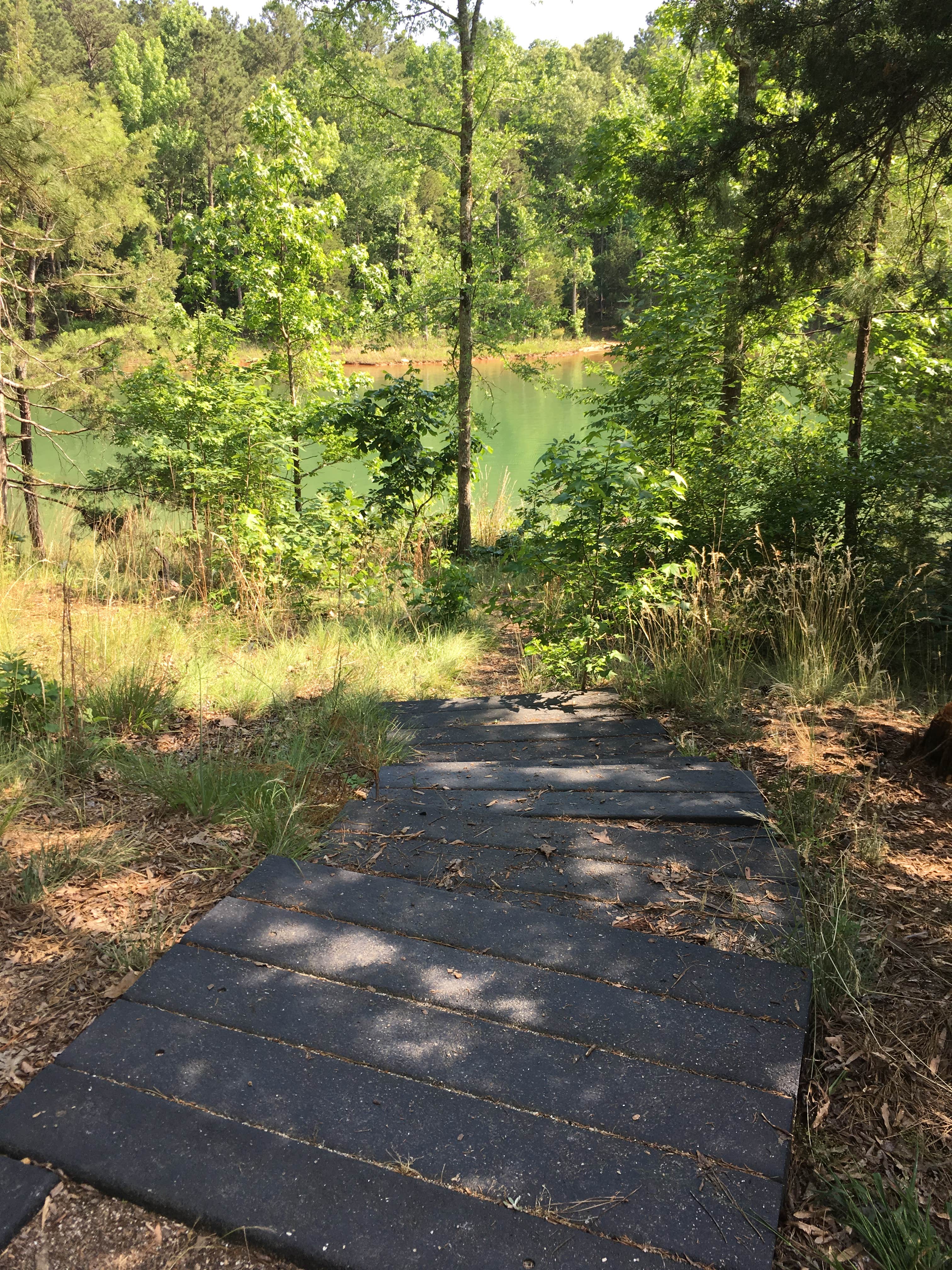 Camper-submitted photo at Calhoun Falls State Park Campground near Lincolnton, GA