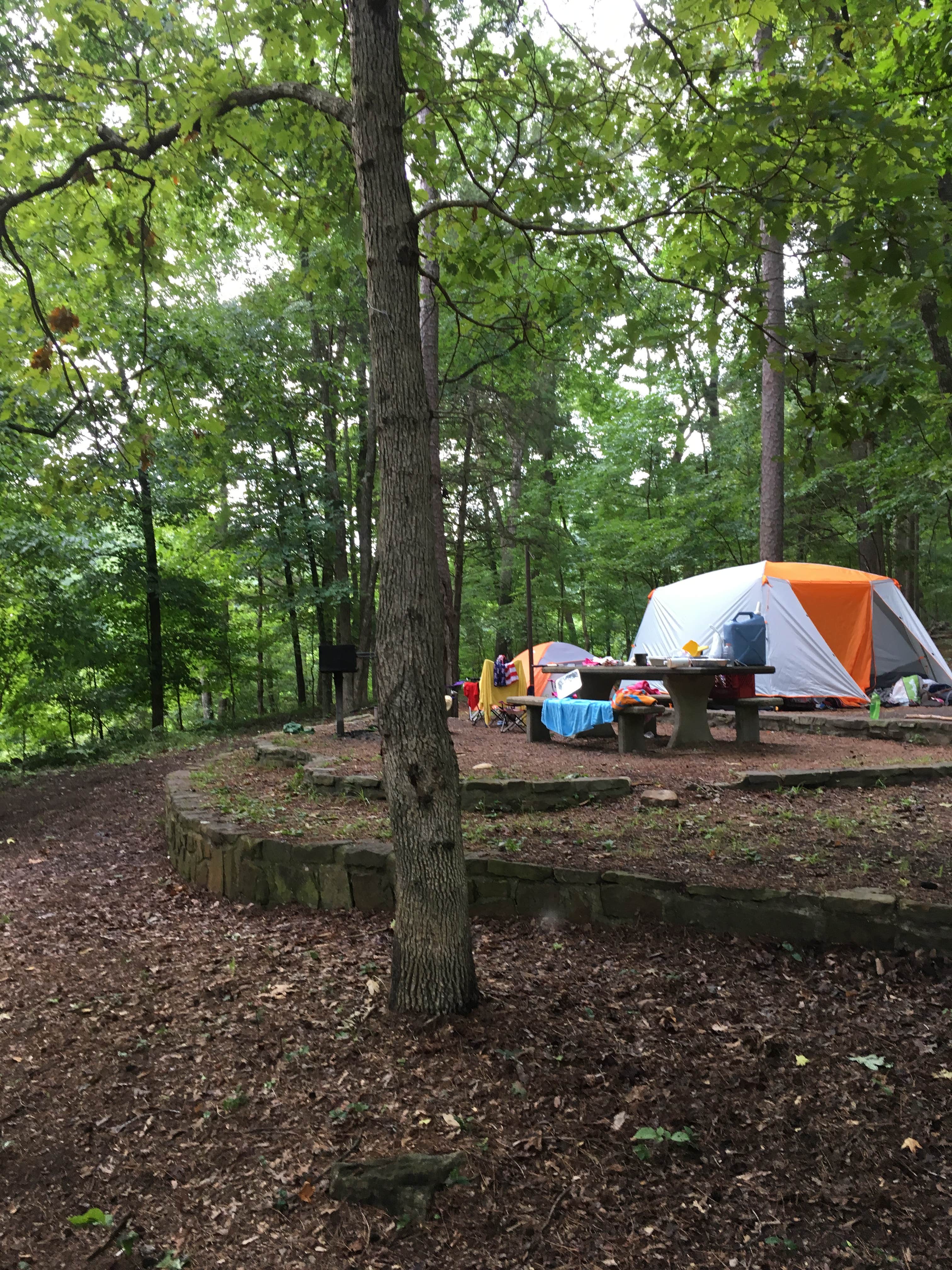 Camper submitted image from Blanchard Springs Recreation Area — Ozark St. Francis National Forests - 4