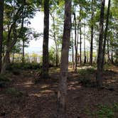 Review photo of Lake Waccamaw State Park Campground by Courtney B., May 20, 2019