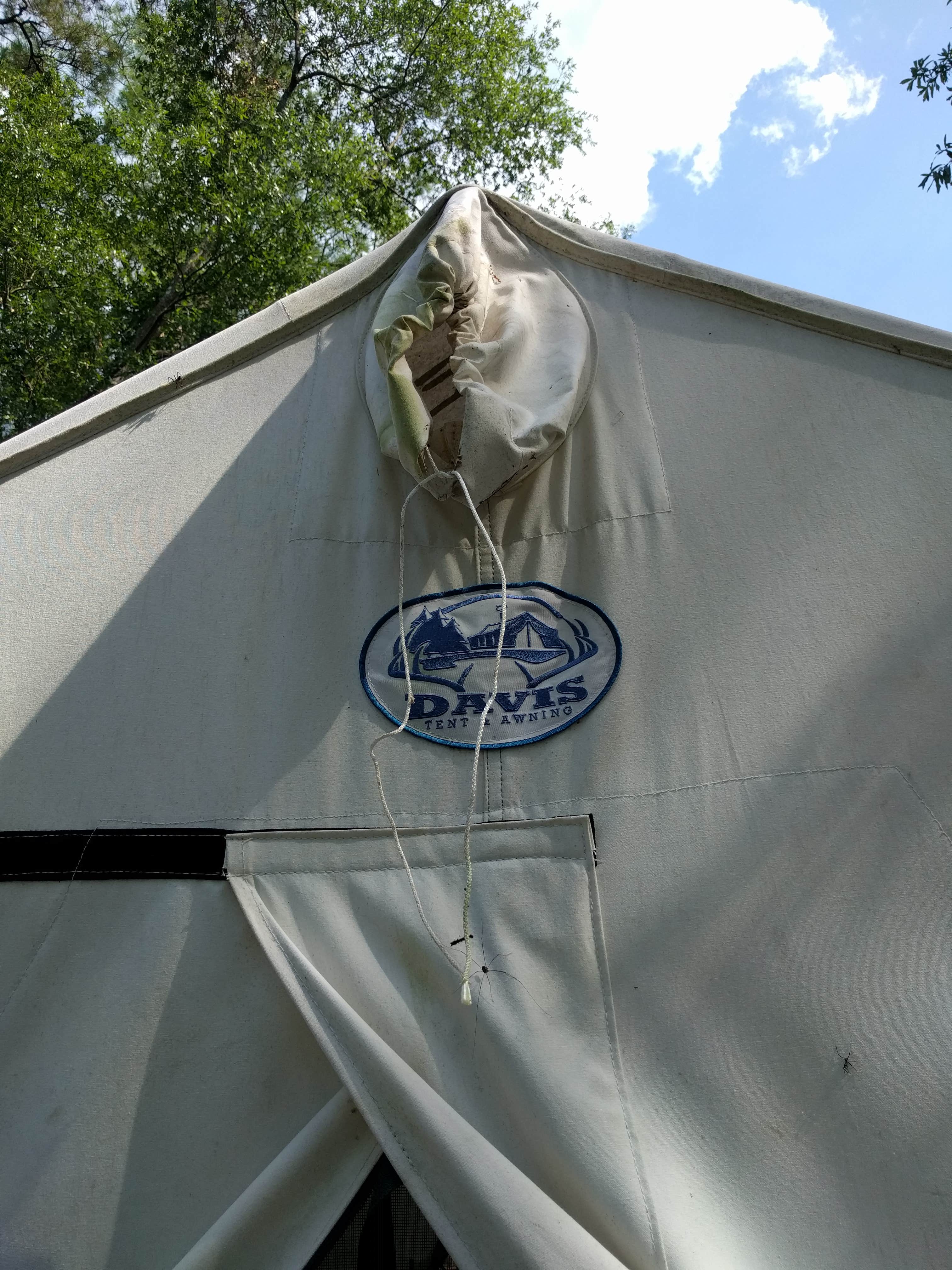 Courtney B.'s photo of tent camping at Lake Waccamaw State Park Campground near Supply, NC