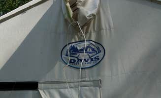 Courtney B.'s photo of tent camping at Lake Waccamaw State Park Campground near Wilmington, NC