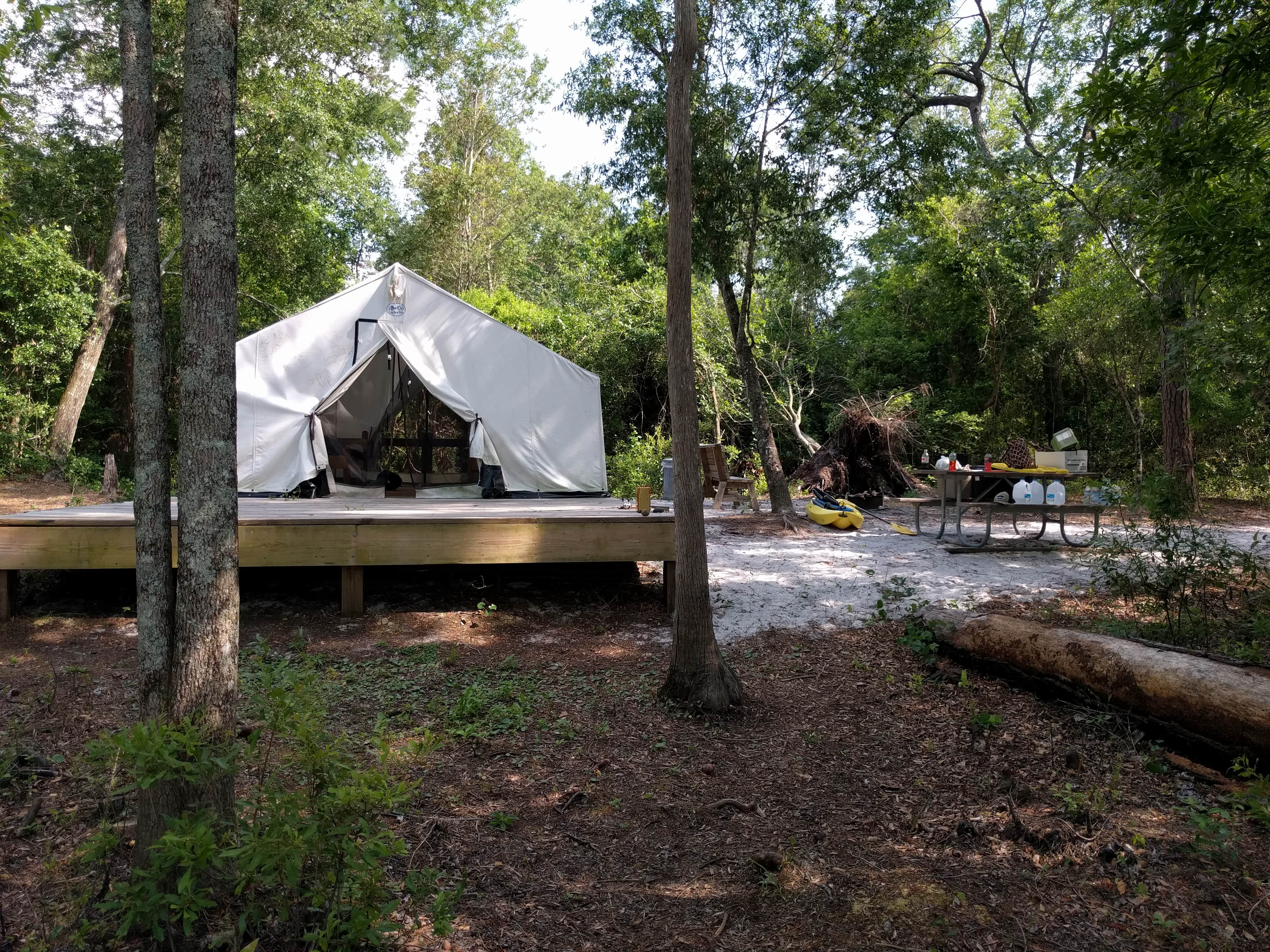 Courtney B.'s photo at Lake Waccamaw State Park Campground near Castle Hayne, NC