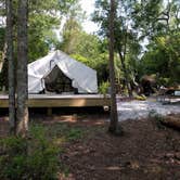 Review photo of Lake Waccamaw State Park Campground by Courtney B., May 20, 2019