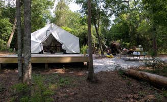 Courtney B.'s photo at Lake Waccamaw State Park Campground near Ivanhoe, NC