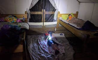 Courtney B.'s photo of glamping accommodations at Lake Waccamaw State Park Campground near Kure Beach, NC