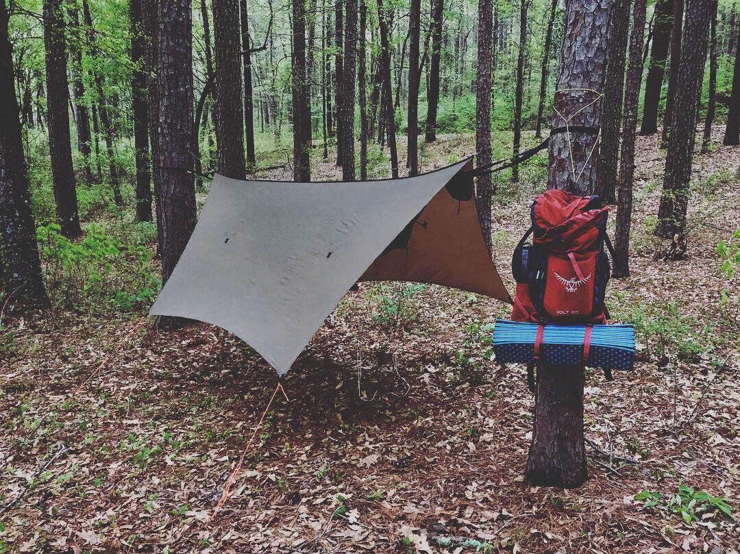 Josh B.'s photo at Corney Lake South Shore Campground near Bernice, LA