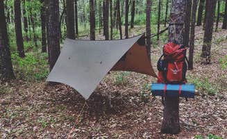 Josh B.'s photo at Corney Lake South Shore Campground near Homer, LA