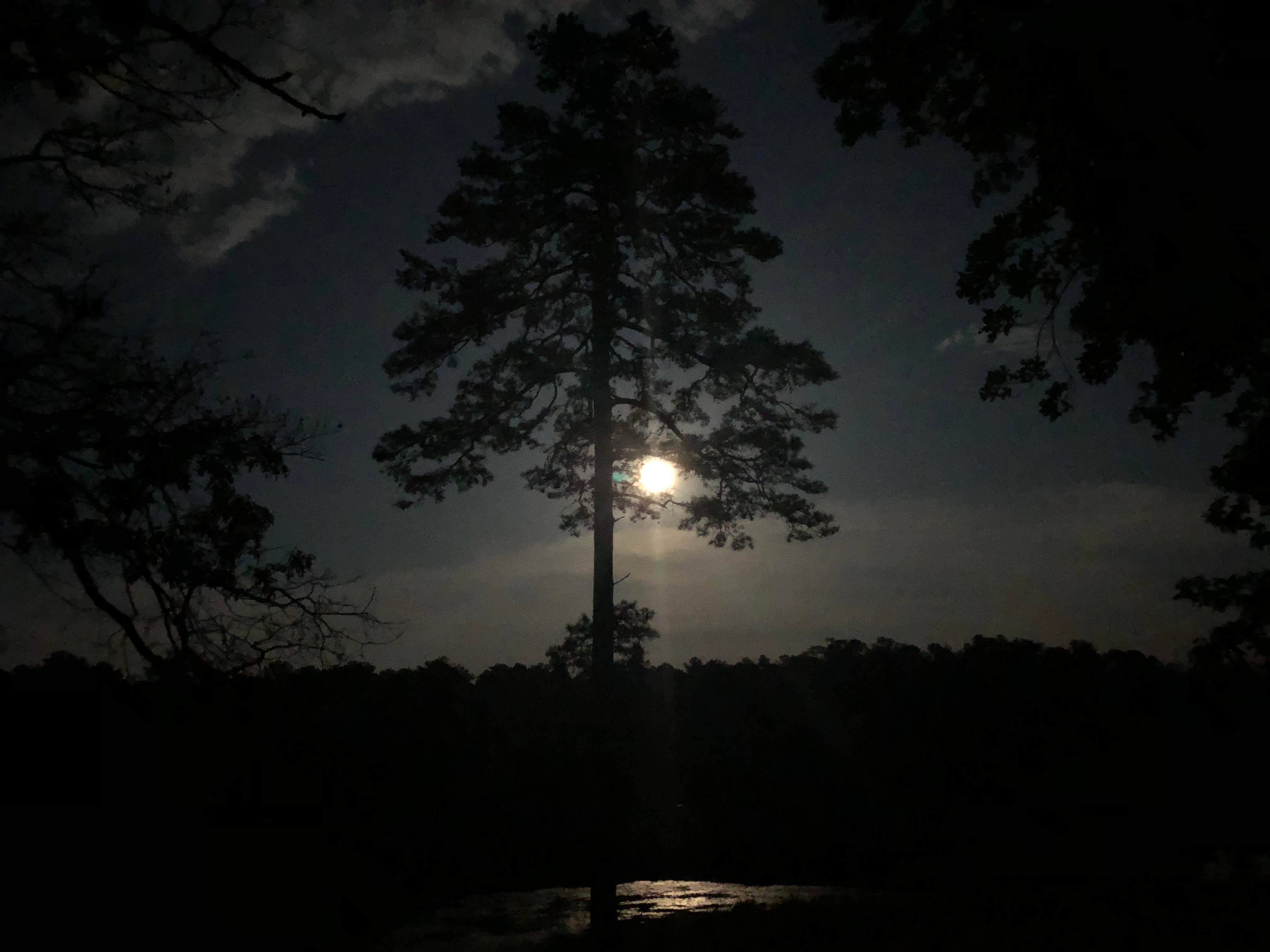 Camper-submitted photo at Sugarloaf Mountain near Rockingham, NC