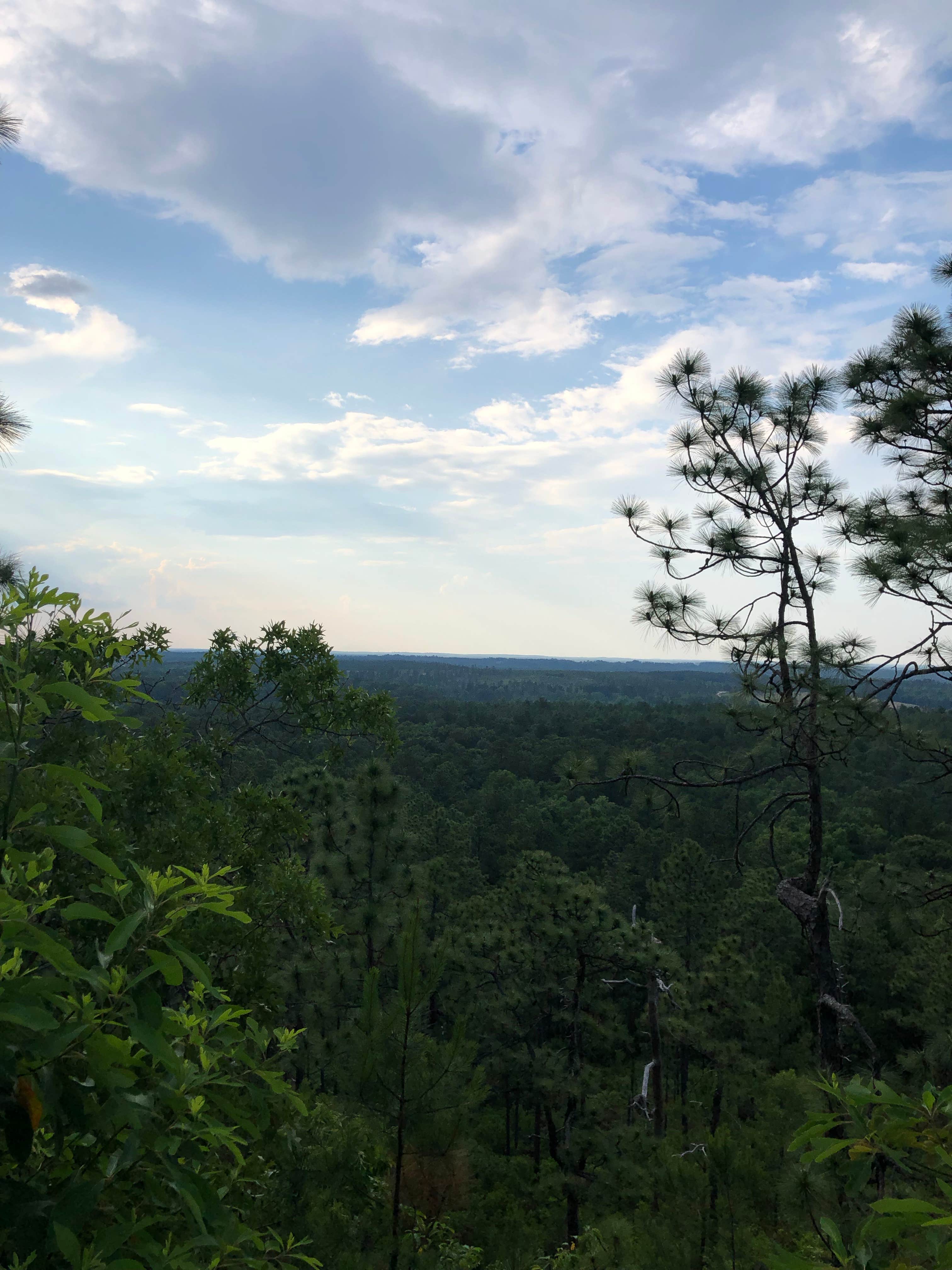 Camper-submitted photo at Sugarloaf Mountain near Rockingham, NC